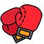 bandera boxeo_2024